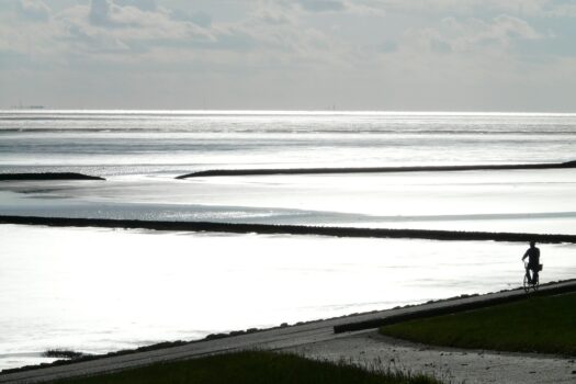 Noordzee Dijk