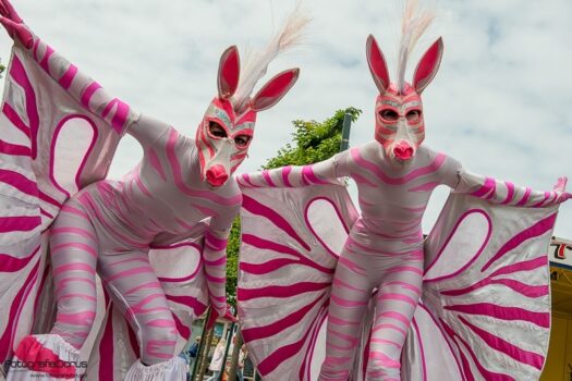 Straatfestival Harlingen 2015 - Dorus Breidenbach