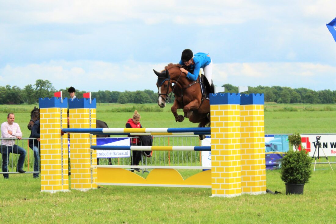 Drie dagen paardensport in Gorredijk