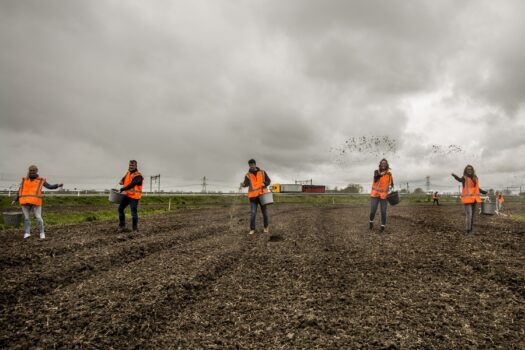 Eerste Honey Highway in Friesland