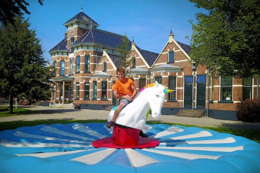 Nederlandse rodeo-eenhoorn razend populair in Amerika