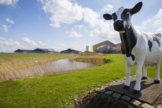 Symposium over de groene consument op weg naar duurzame zuivel