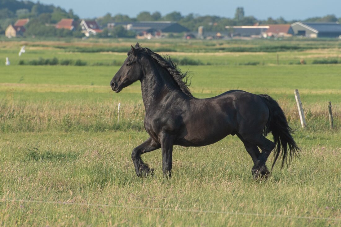 Toerist en inwoner Fryslân verleiden met inspirerende digitale samenwerking