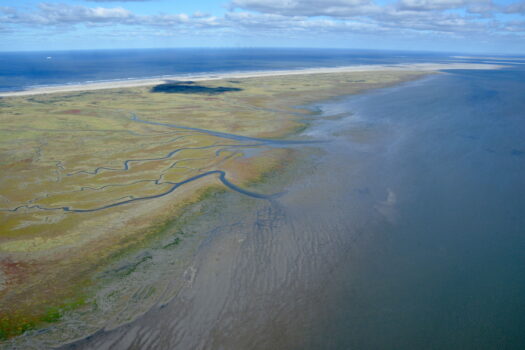 Natuurmonumenten voorziet natuurschade Wadden door keuze ministerie