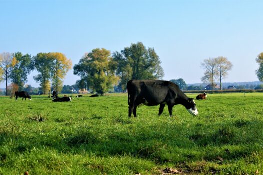 Gebiedsgerichte aanpak zon op dak Tynaarlo, Noordenveld en Aa en Hunze