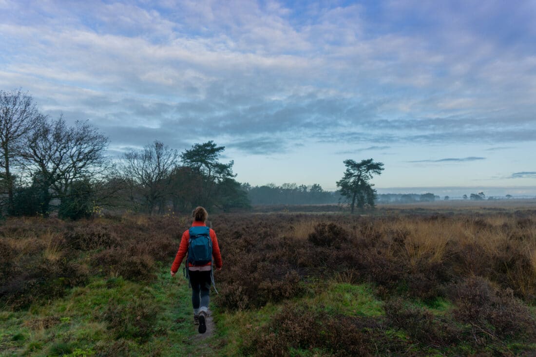 Unieke hike & night-trektocht om compleet offline in de Drentse natuur te zijn