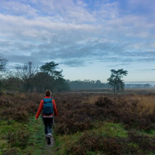 Unieke hike & night-trektocht om compleet offline in de Drentse natuur te zijn