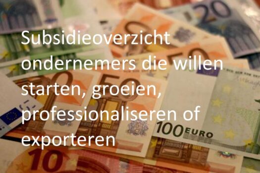 Handig subsidieoverzicht voor ondernemers met ambitie