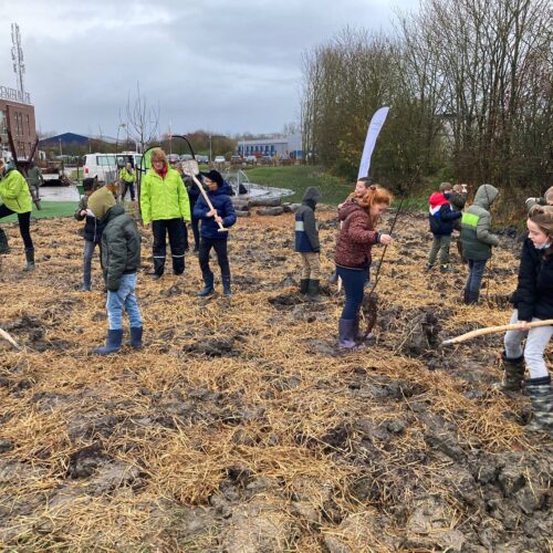 Tiny Forest bij nieuwe Kindcentrum Ten Boer