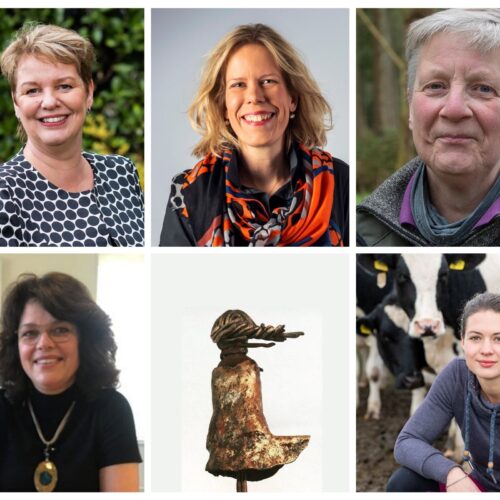 Genomineerden Vrouw in de Media Award 2021 Drenthe bekend