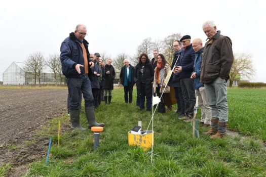 SalFar: Kansen voor landbouw op verzilte grond