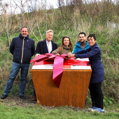 Solarfields, K3 en TVP Solar: start bouw grootste zonnepark van Nederland