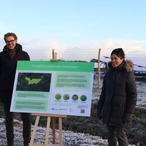 Start vijfjarig onderzoek naar ecologische effecten zonneparken