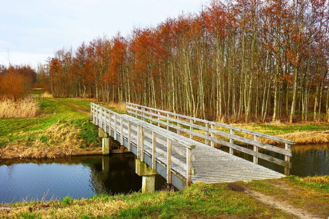 14 April: informatiebijeenkomst verplanten in Drenthe