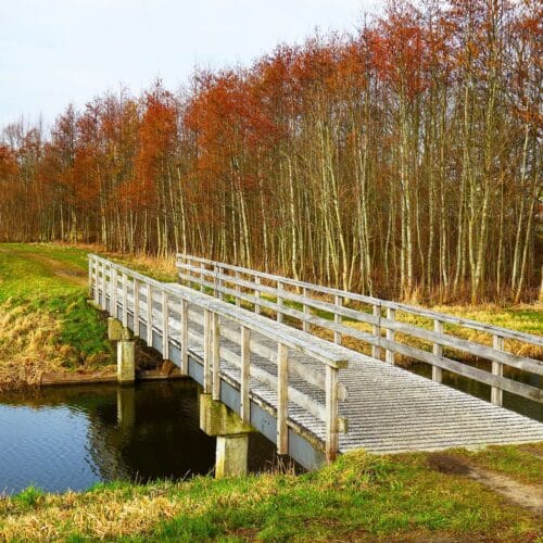 14 April: informatiebijeenkomst verplanten in Drenthe