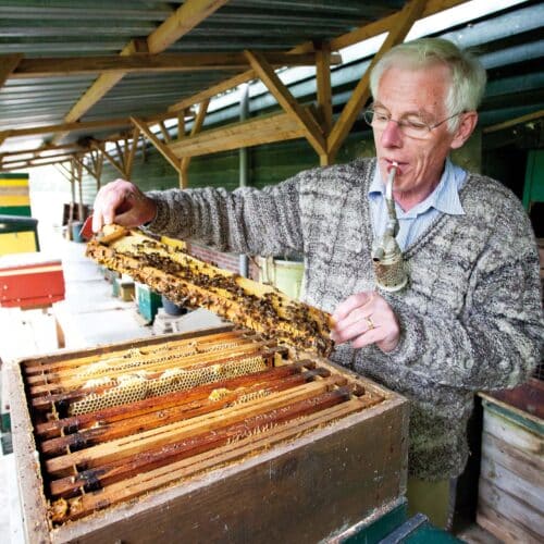 Avondklas bijenhouden van imker Warmonderhof op 11 mei