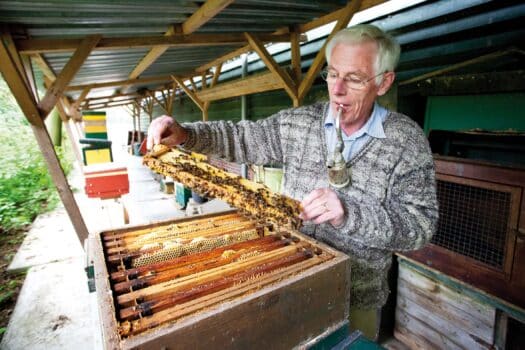 Avondklas bijenhouden van imker Warmonderhof op 11 mei