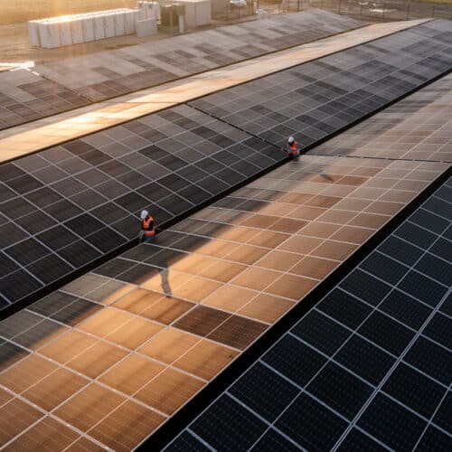 Zonneparkgigant Solarfields wordt Novar: ontwikkelaar voor het complete groene energielandschap