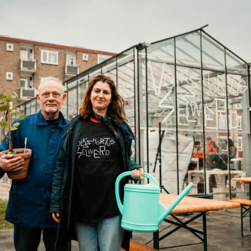 Volkshortus Selwerd: nieuwe ontmoetingsplek en kweekkas in Selwerd