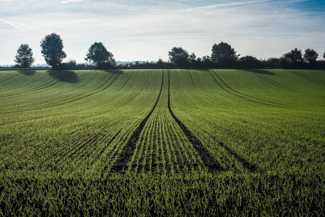 Ruim 1,2 miljoen euro subsidie vanuit het Agroprogramma