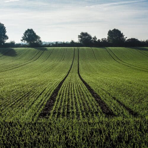 Ruim 1,2 miljoen euro subsidie vanuit het Agroprogramma