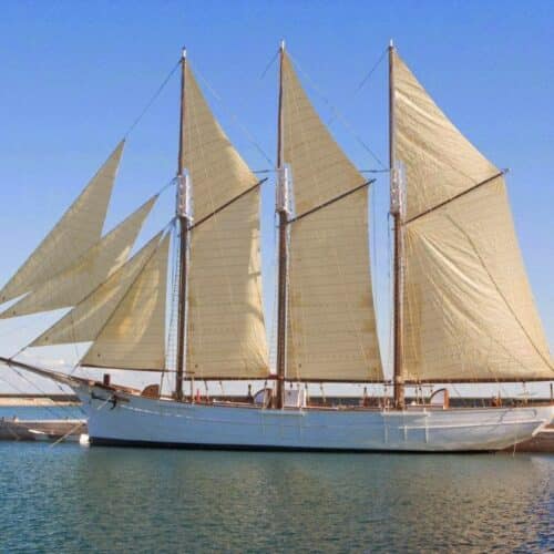 Alvast het echte ‘DelfSail 2024 gevoel’ proeven? Twee Tall Ships bezoeken Delfzijl van 21 augustus tot 4 september 2023
