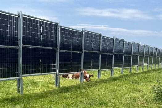 Eerste Nederlandse onderzoek naar integratie van grondgebonden zonnesystemen in melkveehouderij gestart